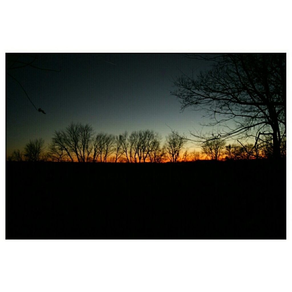 transfer print, silhouette, bare tree, tree, clear sky, auto post production filter, tranquility, copy space, tranquil scene, scenics, beauty in nature, nature, sunset, landscape, branch, dark, sky, dusk, outdoors, no people