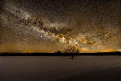 Silhouette trees on snow against sky at night