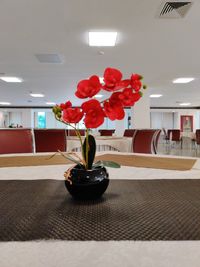 Red flower vase on table at home