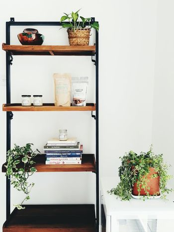 POTTED PLANTS IN THE ROOM