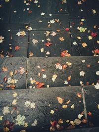 High angle view of maple leaves fallen on floor during autumn