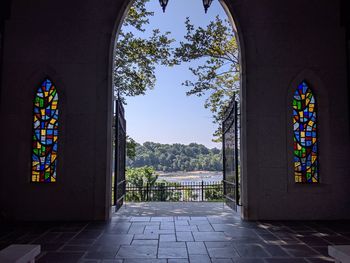 Trees seen through window of building