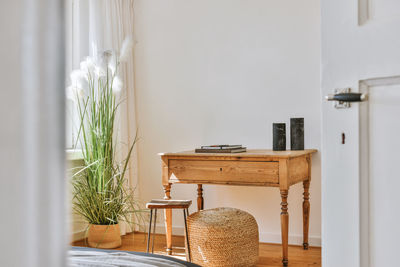 Potted plant on table at home