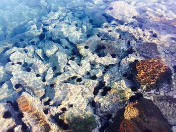 Full frame shot of rocks in water