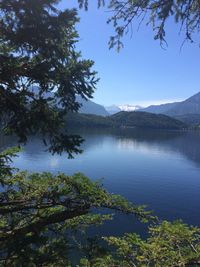 Scenic view of calm lake against clear sky