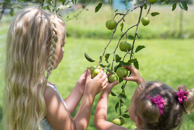 Midsection of woman holding fruit on plant against trees