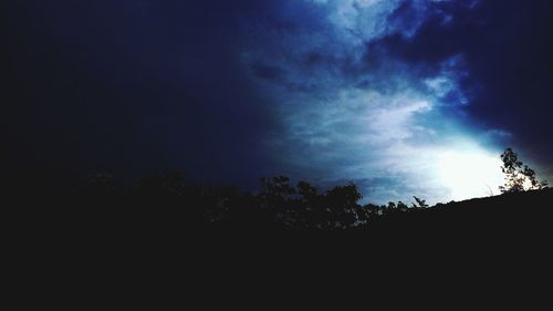 Low angle view of silhouette trees against sky at night