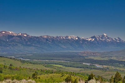 Scenic view of landscape against clear blue sky