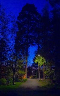 Trees against blue sky