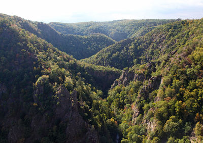 High angle view of lush foliage against sky