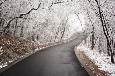 Road amidst trees against sky