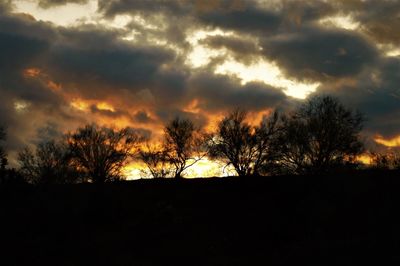 Silhouette trees on field against sky at sunset