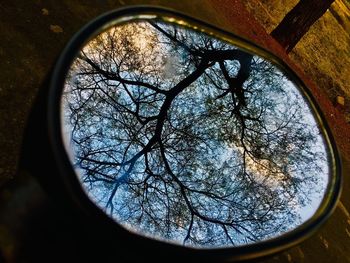 Low angle view of trees against sky seen through window