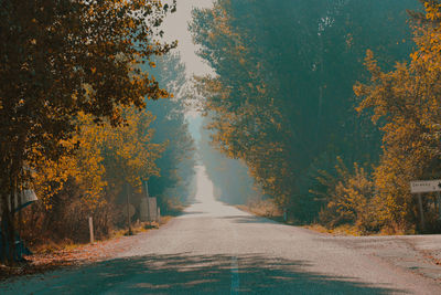 Empty road amidst trees during autumn