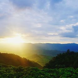 Scenic view of landscape against sky during sunset