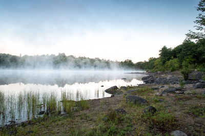 Scenic view of lake with trees in background