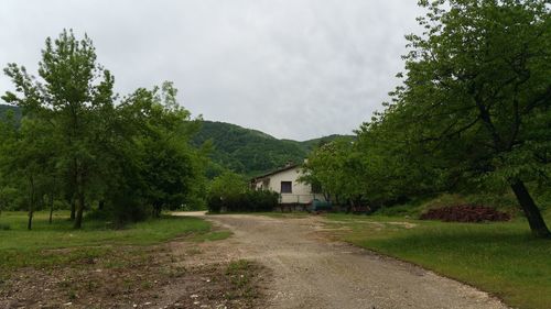 Road amidst trees and buildings against sky