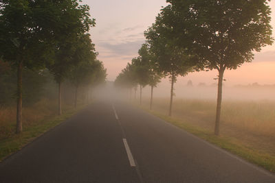 Empty road amidst trees against sky with early morning most. 