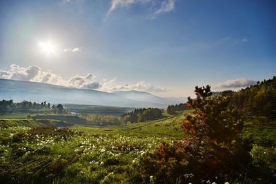 Scenic view of landscape against bright sun