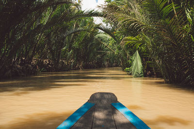 Walkway by palm trees by river