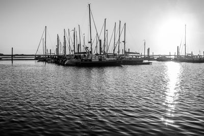 Sailboats moored on harbor against sky