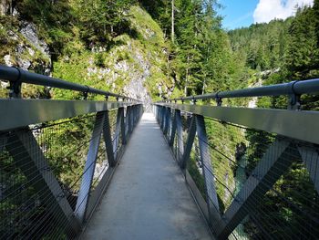 Footbridge amidst trees in forest