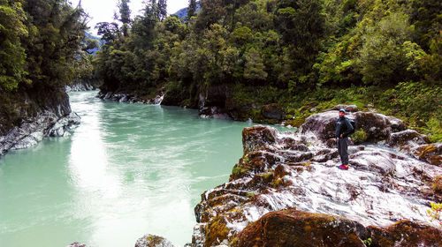 Scenic view of waterfall in forest