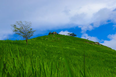 Scenic view of land against sky