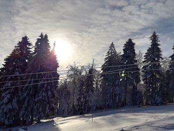 Trees on snow covered landscape against sky