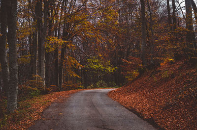 Road amidst trees in forest during autumn