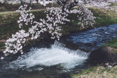High angle view of waterfall in forest