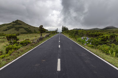 Road amidst green landscape against sky