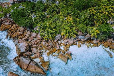 High angle view of plants by rocks in lake