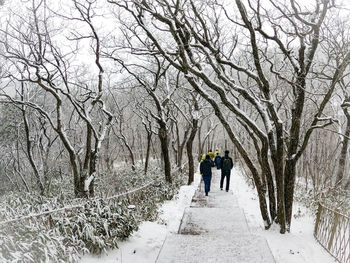 Rear view of people walking on snow covered bare trees