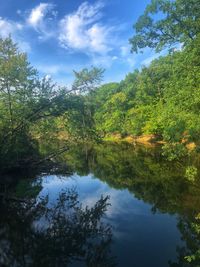 Scenic view of lake in forest against sky