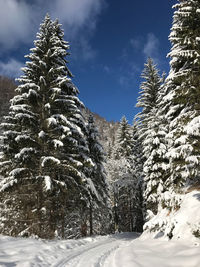 Snow covered mountain against sky