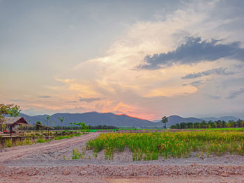 Scenic view of field against sky during sunset