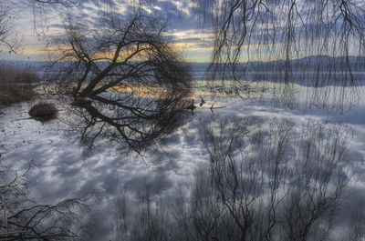 Reflection of bare trees in lake against sky