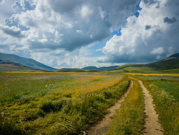 Dirt road passing through field