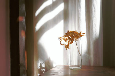 Close-up of flower vase on table at home