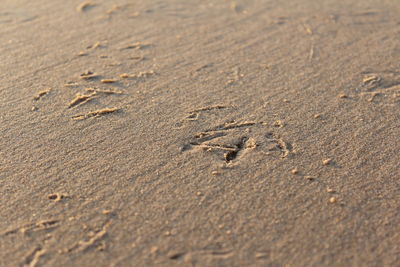 Close-up of footprints on sand at beach