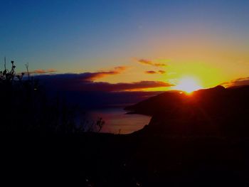 Silhouette of trees at sunset