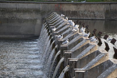 Water splashing in a row