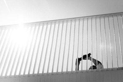 People photographing at observation point against sky