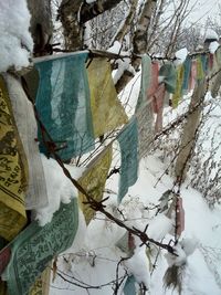 Close-up of clothes drying