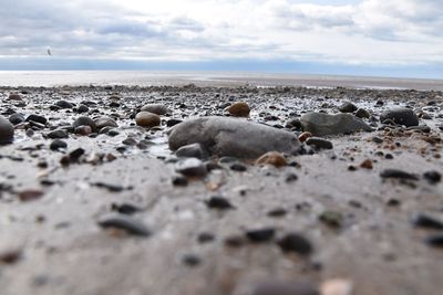 Rocks on beach against sky