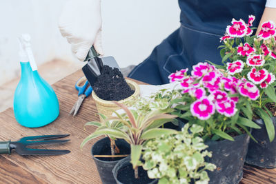 Woman hand by potted plants