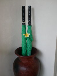 Close-up of potted plant on table against wall