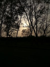 Silhouette trees on landscape against sky