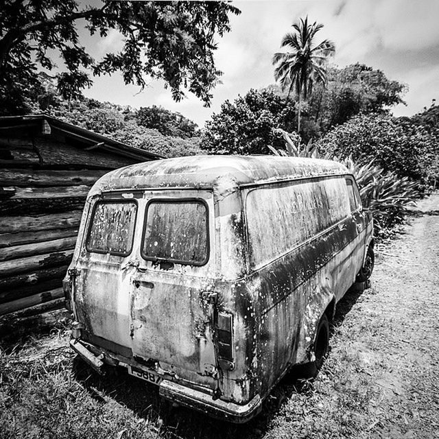 transportation, mode of transport, abandoned, tree, land vehicle, old, car, old-fashioned, obsolete, rusty, damaged, field, day, sky, run-down, outdoors, no people, railroad track, retro styled, metal